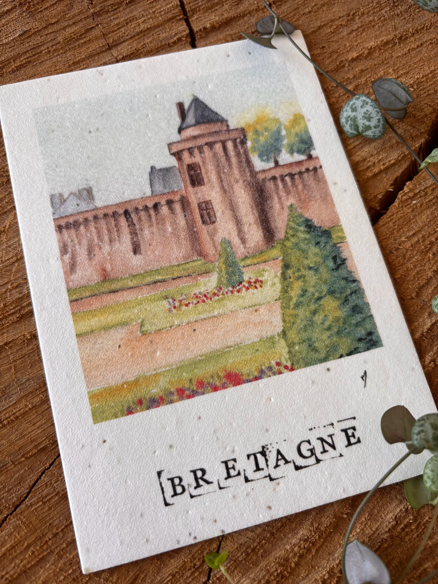 Vannes - Morbihan - Carte aquarelle - 10,5x14,8cm
