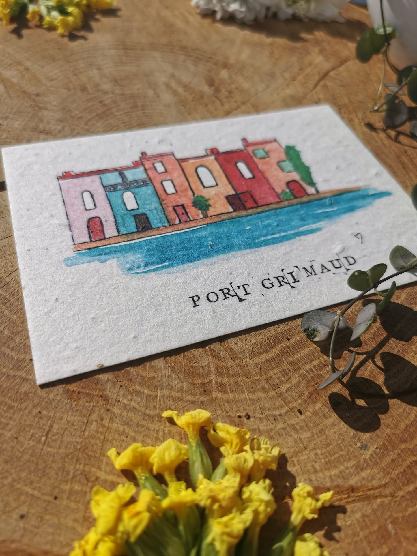 Carte postale ensemencée - Port-Grimaud - Var