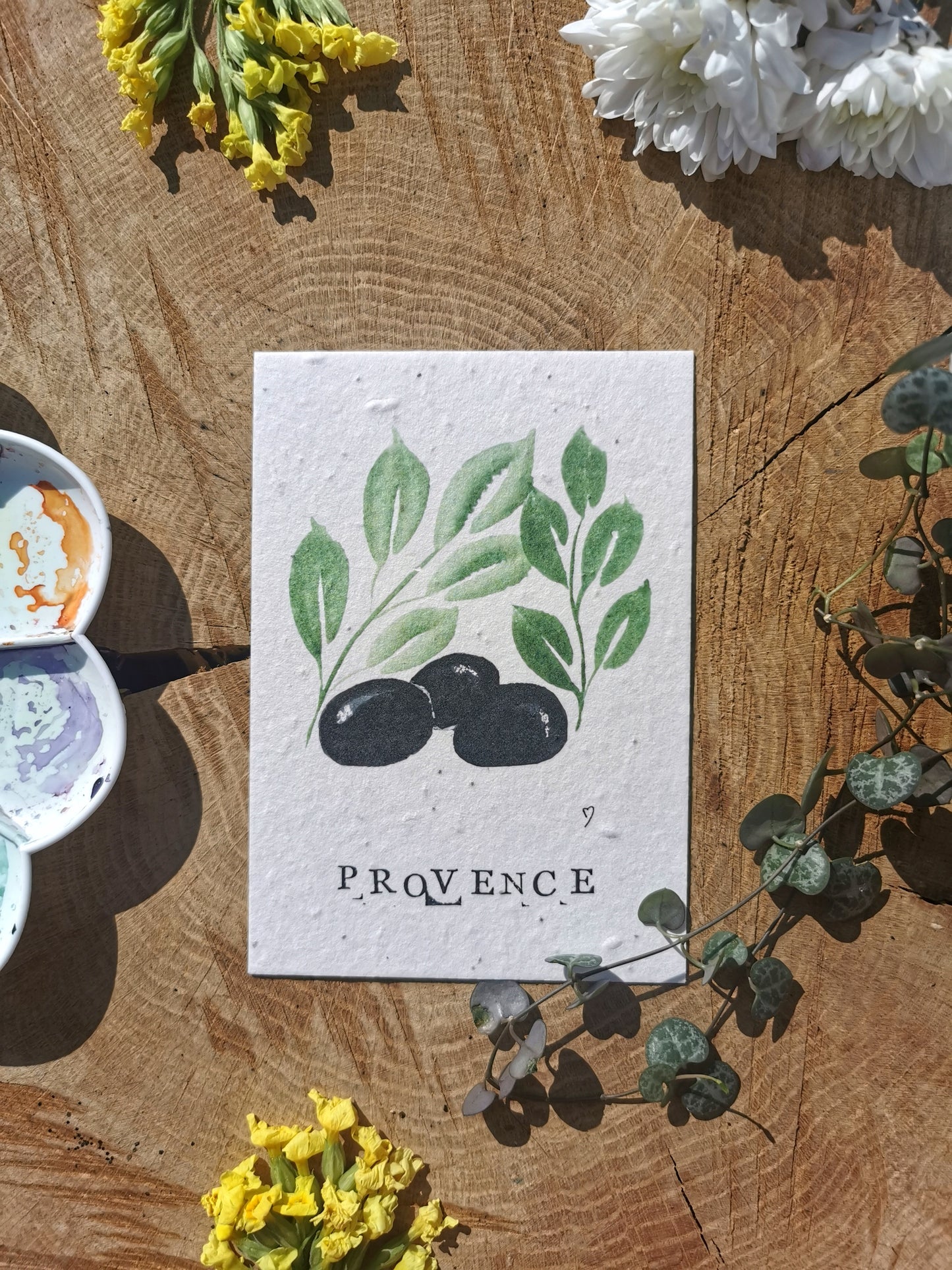 Carte postales ensemencée - Olive - Provence