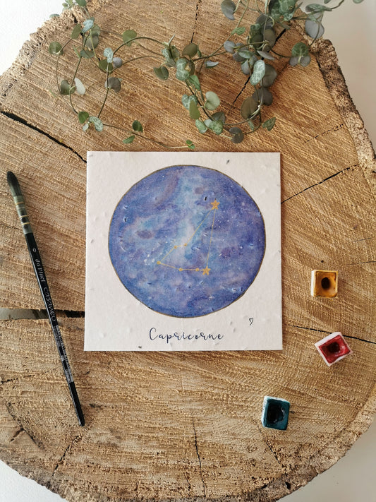 Illustration ensemencée - Constellation Capricorne