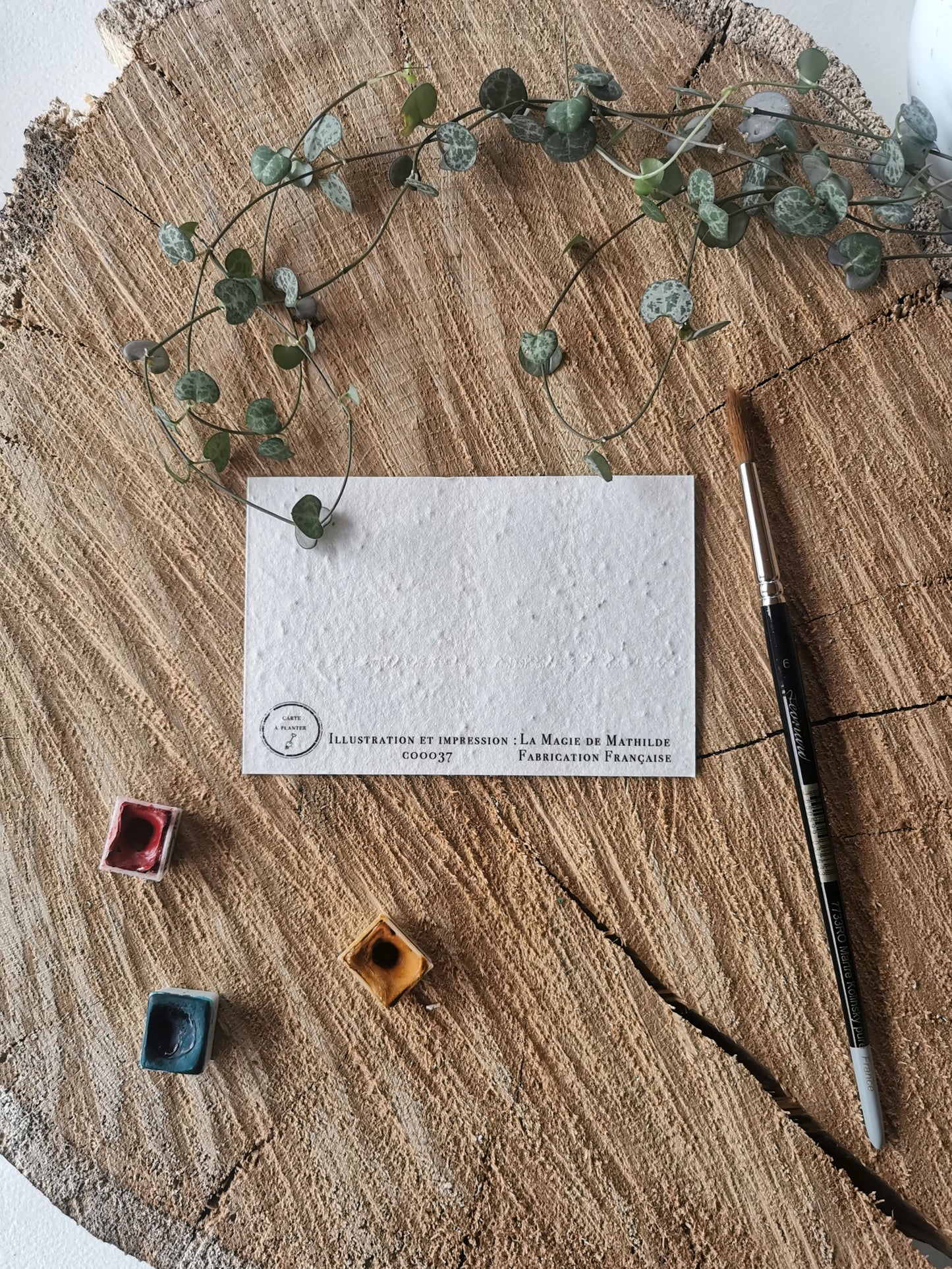 Remerciement - Lot de 10 - 8x12cm