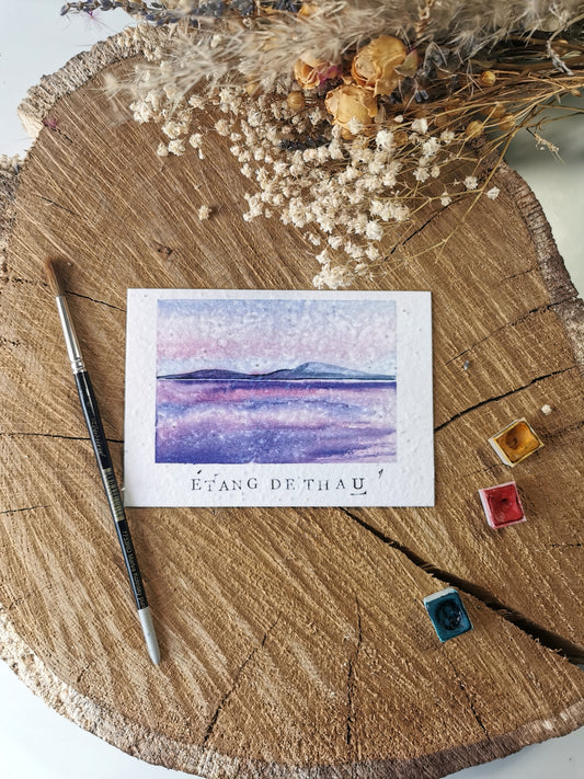 Etang de Thau - Hérault - Carte postale ensemencée